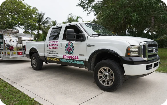 Soft Wash Services